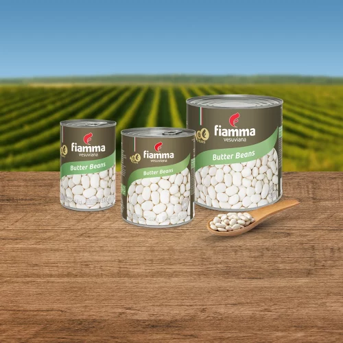 White Beans of Spain